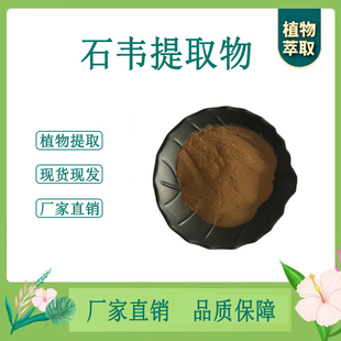 石韦提取物 小石韦浓缩粉 另售车前子海金沙蒲黄 100g袋散装