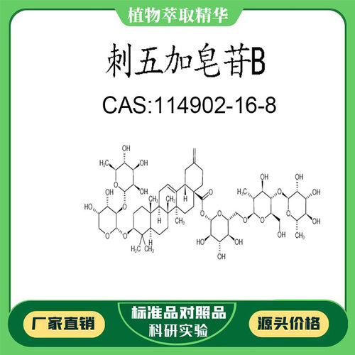 刺五加皂苷B 98%  科研实验对照品标准品 CAS:114902-16-8 瓶装
