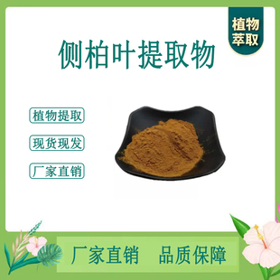 侧柏叶提取物 香柏叶浓缩粉 另售地榆槐花地骨皮石韦 100g袋 散装