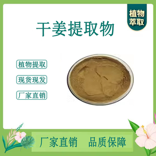 干姜提取物 干生姜浓缩粉  另售白术厚朴薤白苍术独活 100g袋散装