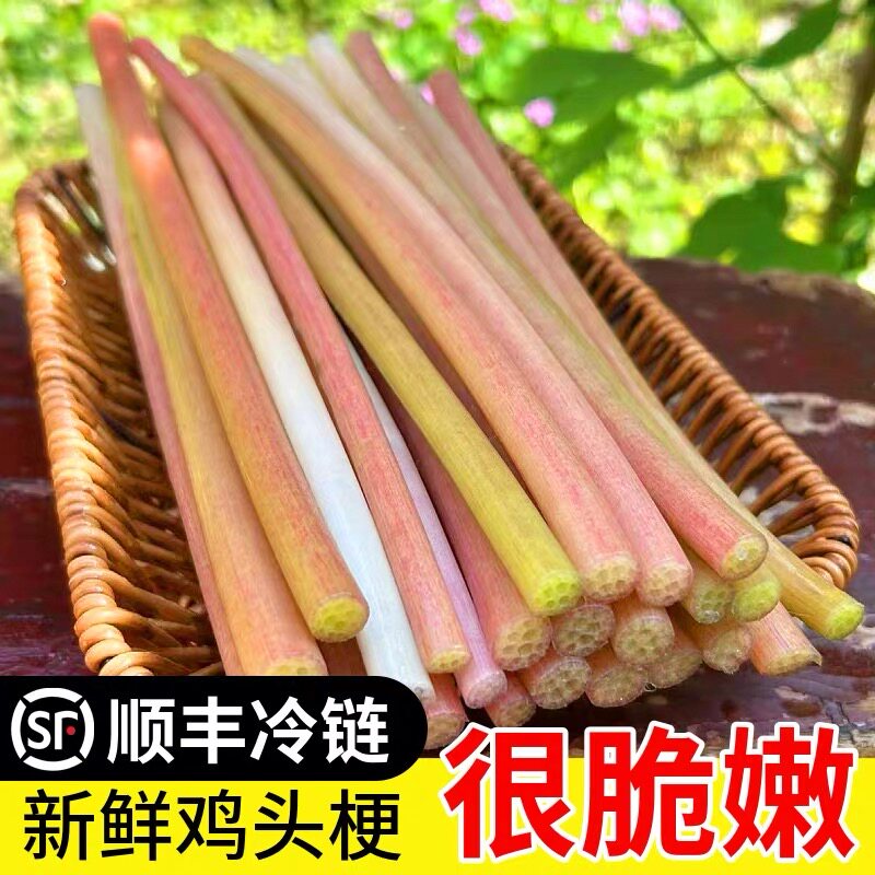 湖北特产鸡头梗应季蔬菜新鲜芡实茎去皮芡实梗鸡头梗时令水生