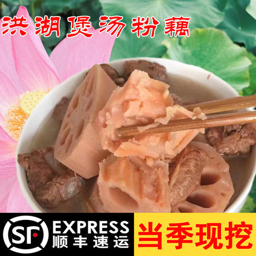 正宗洪湖粉藕九孔莲藕粉