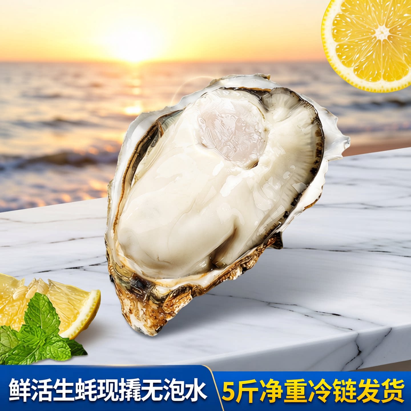 鲜活现撬无泡水生蚝5斤冷链