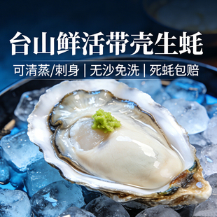 烧烤家用 可清蒸刺身级 顺丰冷链死蚝包赔 5斤装 台山鲜活带壳生蚝
