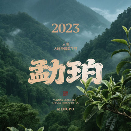 万寸山 勐珀2023普洱生茶 收藏级山野花香强劲留香持久耐泡