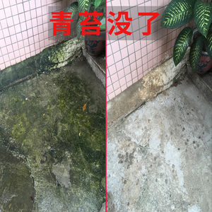 青苔去除剂灭藻剂2.5L装路面湿滑处理剂防霉除霉清洗水池青石板