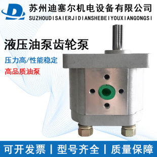 F314 F310 F316 F320 325 高品质液压油泵 F306 CBN