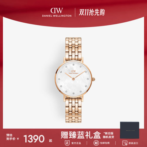 dw手表PETITE系列星辰贝母手表