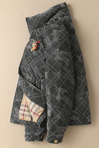 2024新款男士立领羽绒服90白鸭绒 QT2031-8281-P420(控价555）图片