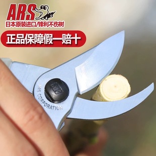 园林园艺盆景剪刀果树剪手剪 130DX 日本原装 进口修枝剪爱丽斯ARS