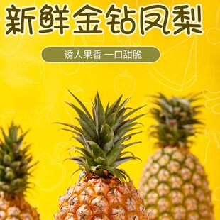 包邮正宗广东徐闻台农17号金钻凤梨9斤/18斤净重凤梨包邮