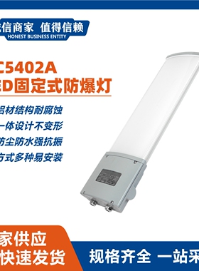 BC5402A LED防爆灯IP66防水防尘照明灯20W~80W一体铝材工业照明灯