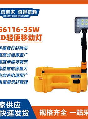 RG6116-35W LED轻便移动灯防汛应急工作灯便携式照明灯电力检修灯