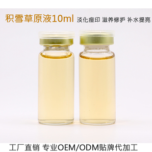 积雪草原液精华10ml OEM加工 滋养修护促进细胞再生淡化痘印保湿