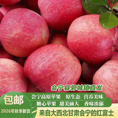 会宁红富士产地直发