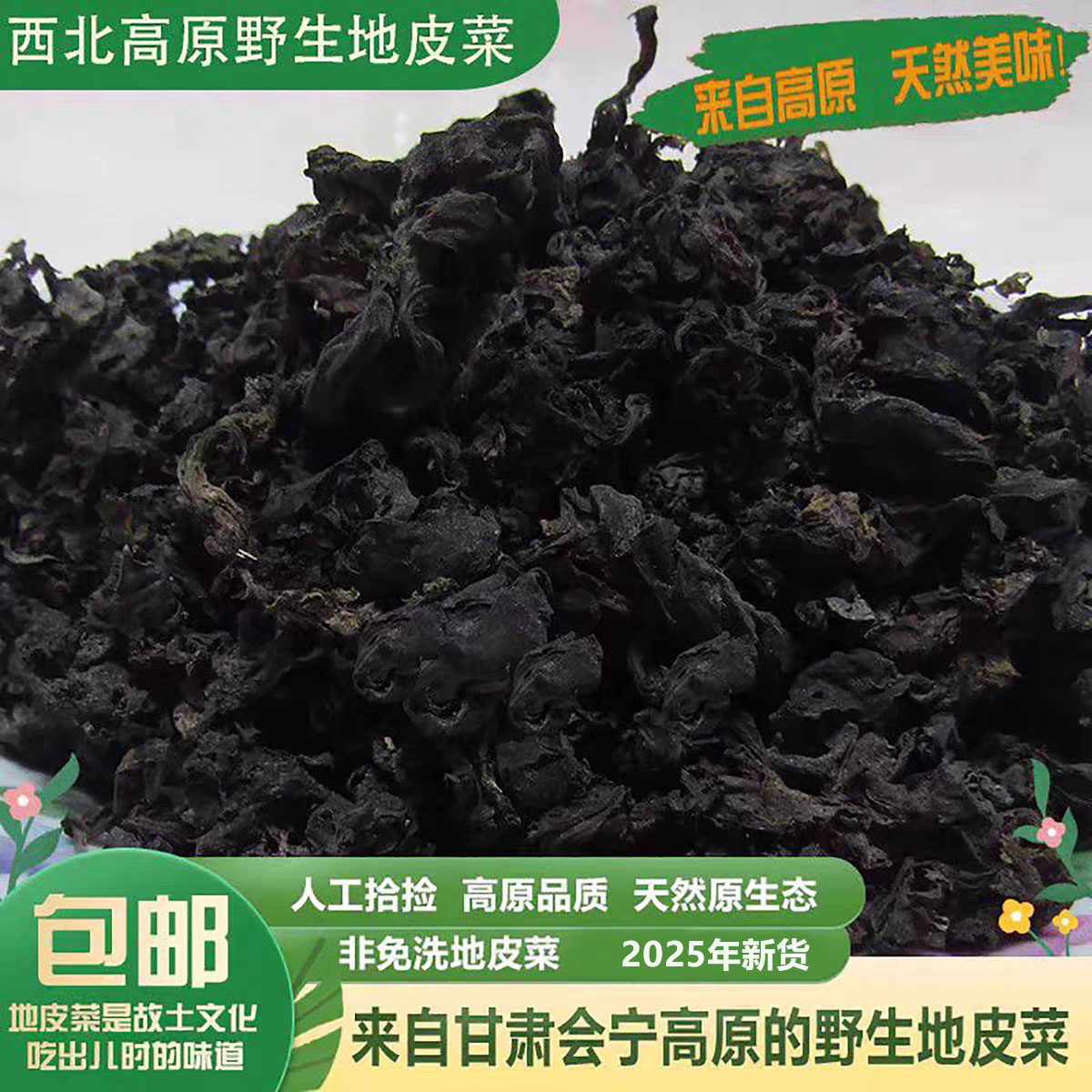 甘肃会宁地皮菜野生地软菜雷公菌地木耳非免洗干货天然500克包邮