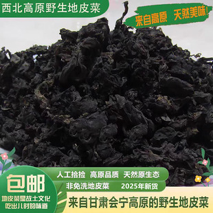 甘肃会宁地皮菜野生地软菜雷公菌地木耳非免洗干货天然500克包邮