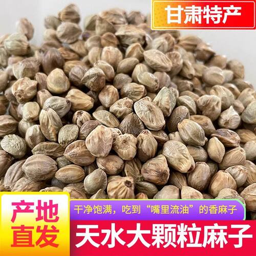 麻子大颗粒甘肃特产特大生麻子火麻子籽人吃炒熟油食用香麻子大粒