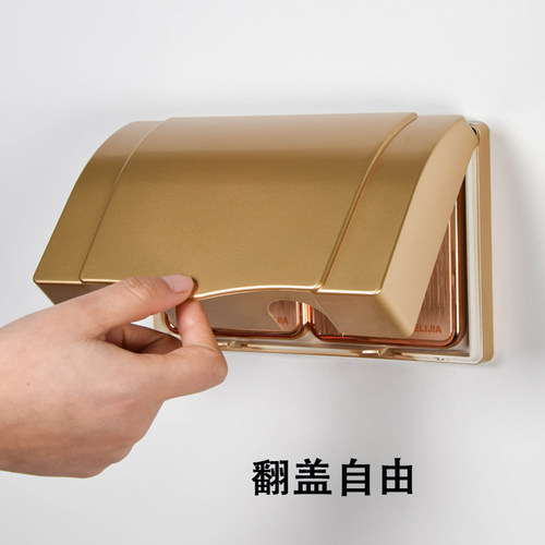 香槟金86防溅保护金色二位并联