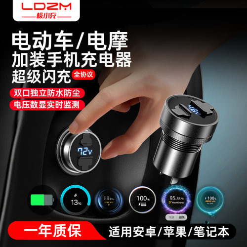 LDZM外卖电动车全协议120W加装