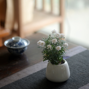 香氏 姬月季带盆种好小盆栽四季开花喜阳微型植物花卉好养的绿植