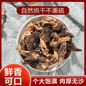 高原羊肚菌羊肚菌纯野生