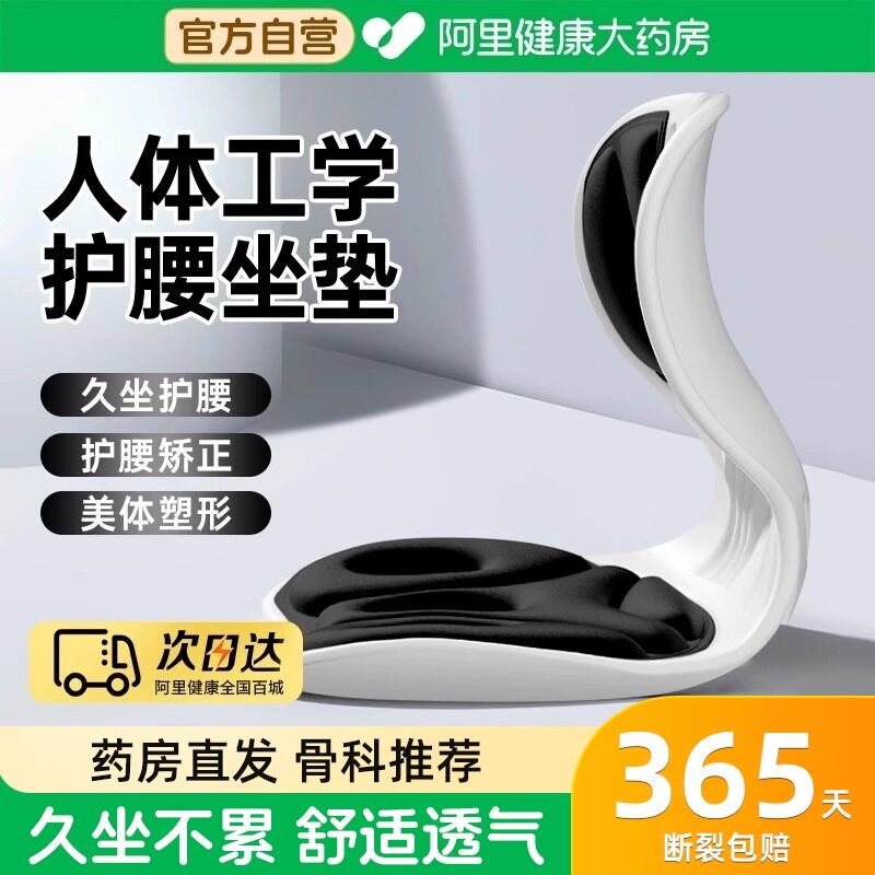 人体工学护腰坐垫腰靠背座椅子办公室工位久坐腰部支撑靠垫一体图片