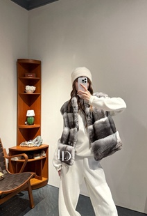 高级设计感时髦立领獭兔毛皮皮草马甲外套 秋冬季 询价私信 新款