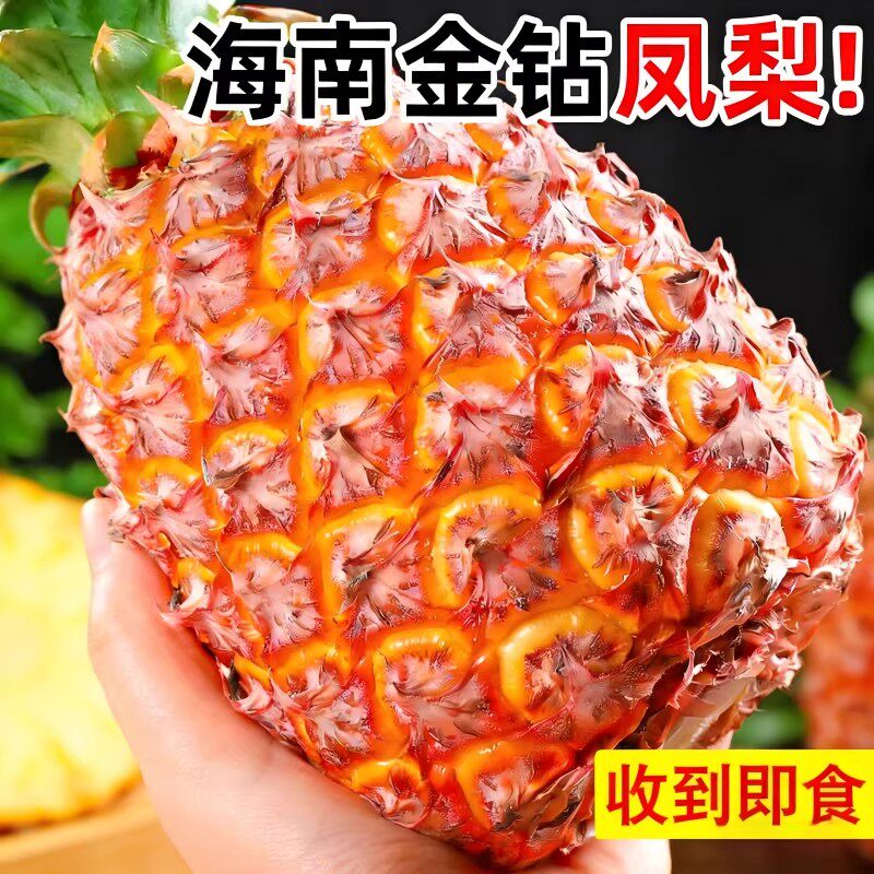 正宗海南金钻凤梨整箱当季新鲜水果现摘手撕菠萝脆甜多汁