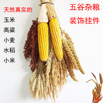 农家乐装饰玉米挂件麦穗干花五谷杂粮田园农作物装扮小庭院幼儿园