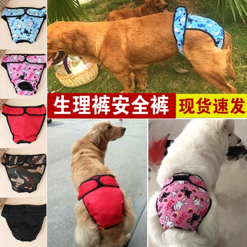 11 -Year -Sold Shop девять цветных брюк брюки брюки большие собаки физиологические брюки менструальное нижнее белье Золотое ретривер Hastech крупные брюки для безопасности собак