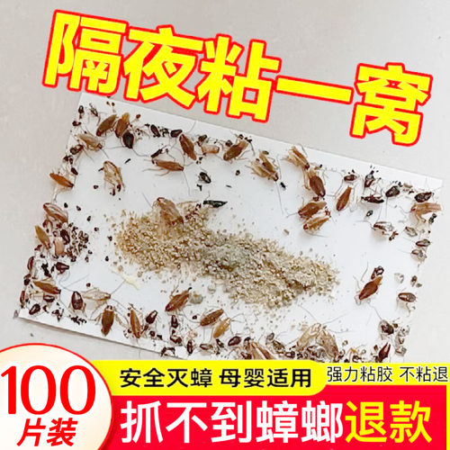 家用神器正品强力灭除绝杀蟑螂药