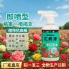 花病康杀菌剂喷雾三角梅月季兰花多肉花卉通用炭疽白粉灰霉黑斑病