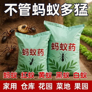 强效 蚂蚁药全窝端家用非无毒室内厨房户外菜地灭蚁一窝端药粉