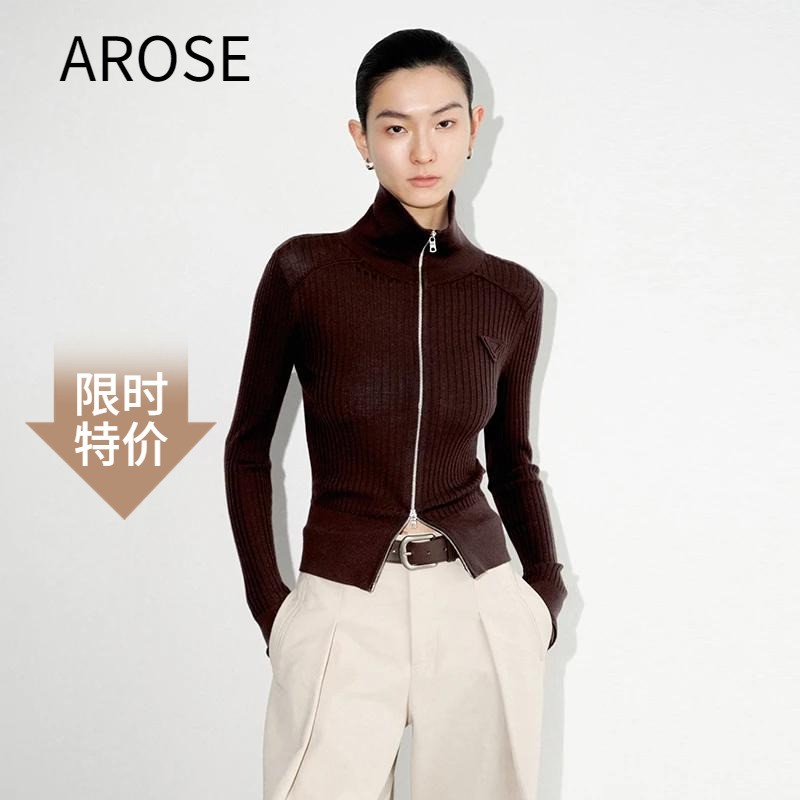 艾诺丝2025秋季针织衫立领毛衫女