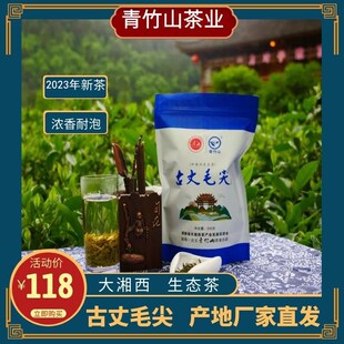 湘西青竹山古丈毛尖高山生态绿茶