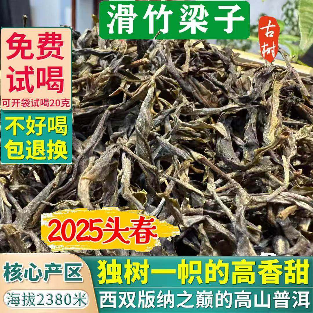 2025年云南普洱茶生茶古树茶滑竹梁子云南口粮茶叶自己喝促销