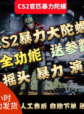 CS2官匹暴力大陀螺全功能自带换肤可转可绿演可暴力赠送stema小号