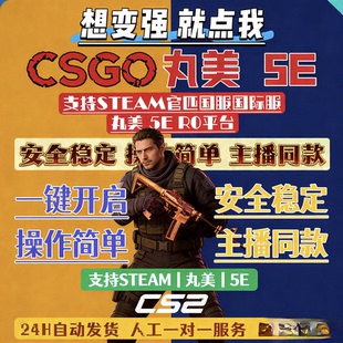 csgo/完美世界/5E+cs2/黑科技官匹国服国际服/R0平台稳定辅导助力