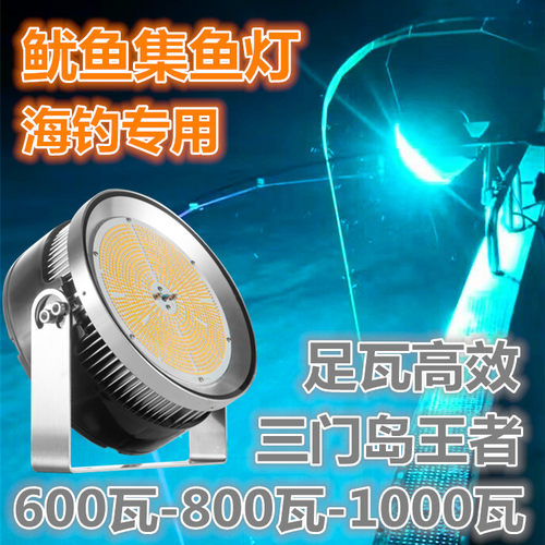 渔登 800W海钓青光鱿鱼灯600瓦夜钓吹筒专用集鱼灯防水LED诱鱼灯
