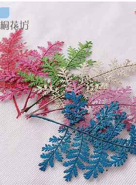 diy滴胶植物标本桐花叶材
