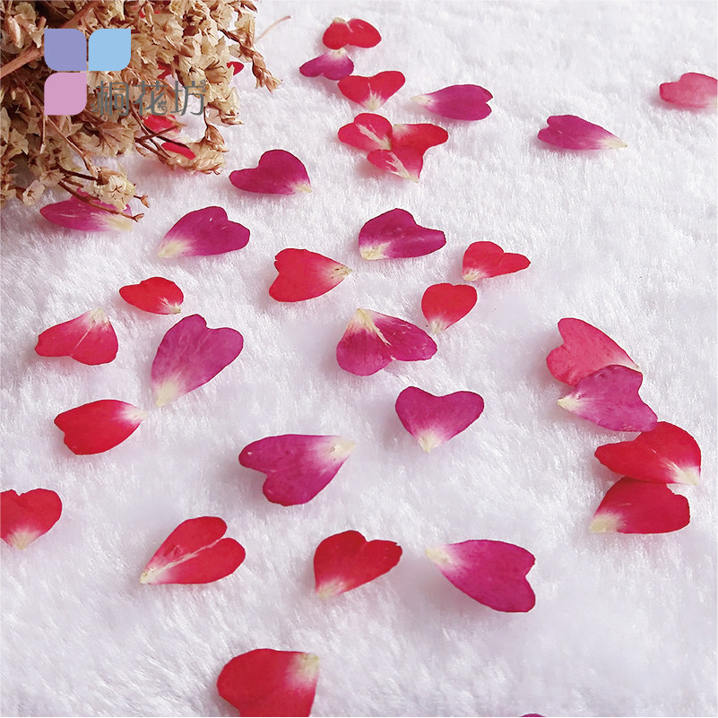 月季花花瓣 心型玫瑰滴胶干花手机壳diy押花压花画框材料植物标本