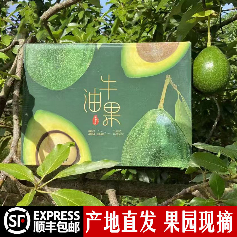 海南白沙牛油果特大果精品礼盒装