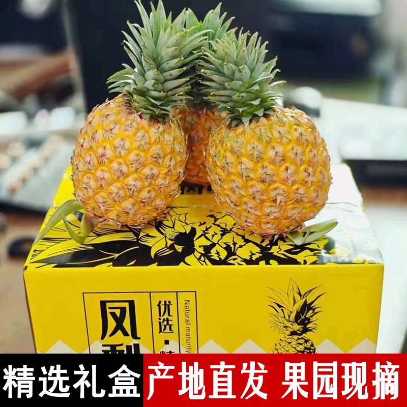 海南芒果凤梨礼盒纯甜香大果产地