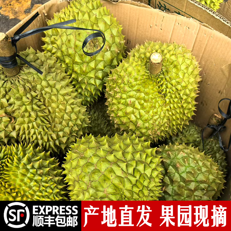 国产海南金枕榴莲三亚现摘现发