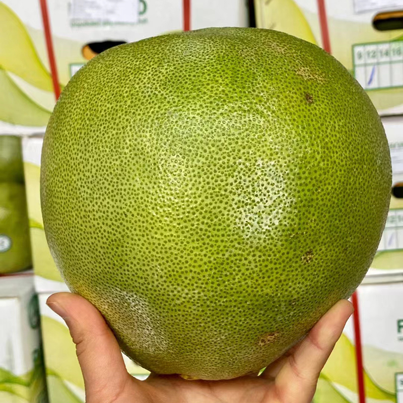 泰国青柚安帕瓦白心柚子进口A级