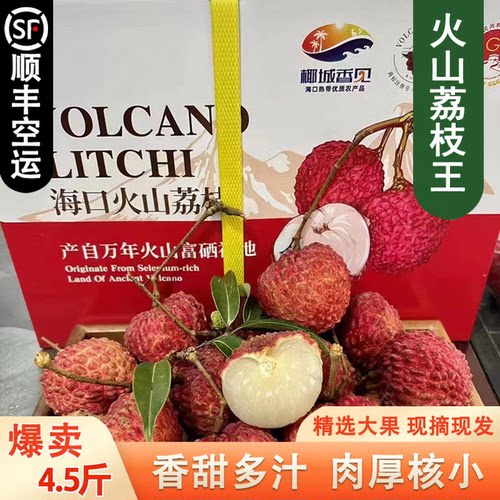 海南火山口荔枝王礼盒装精品大果