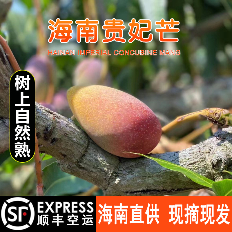 【顺丰】树上熟贵妃芒果礼盒8斤