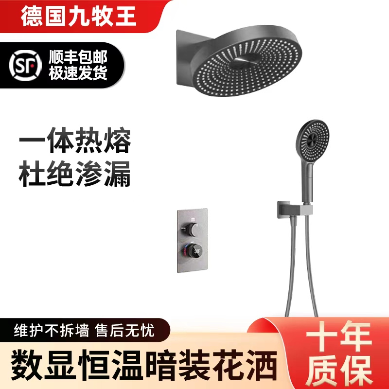 德国九牧王暗装花洒酒店工程家用