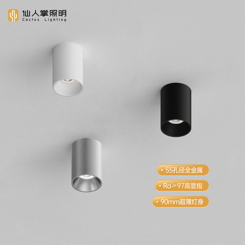 仙人掌照明圆形迷你led明装射灯